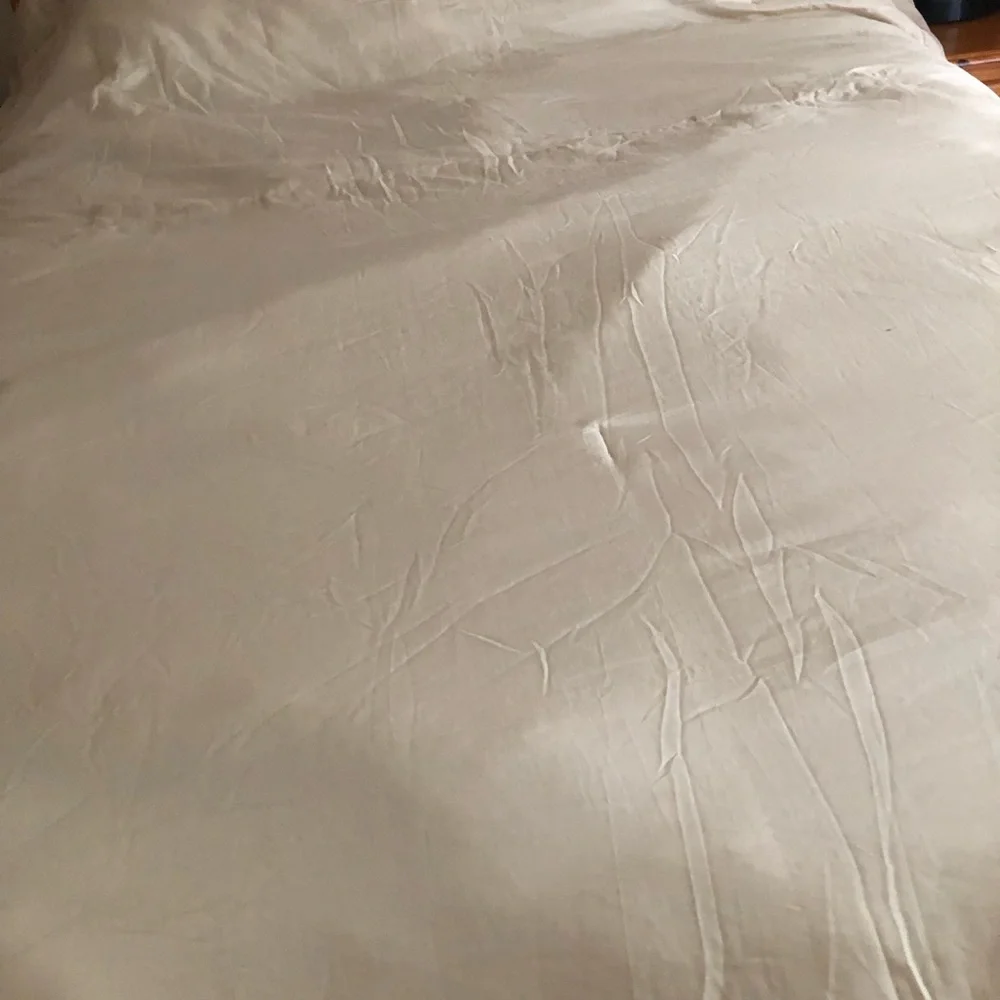Elegant Antique Floral Cream Bedding Set Size Queen By Ashley McBride